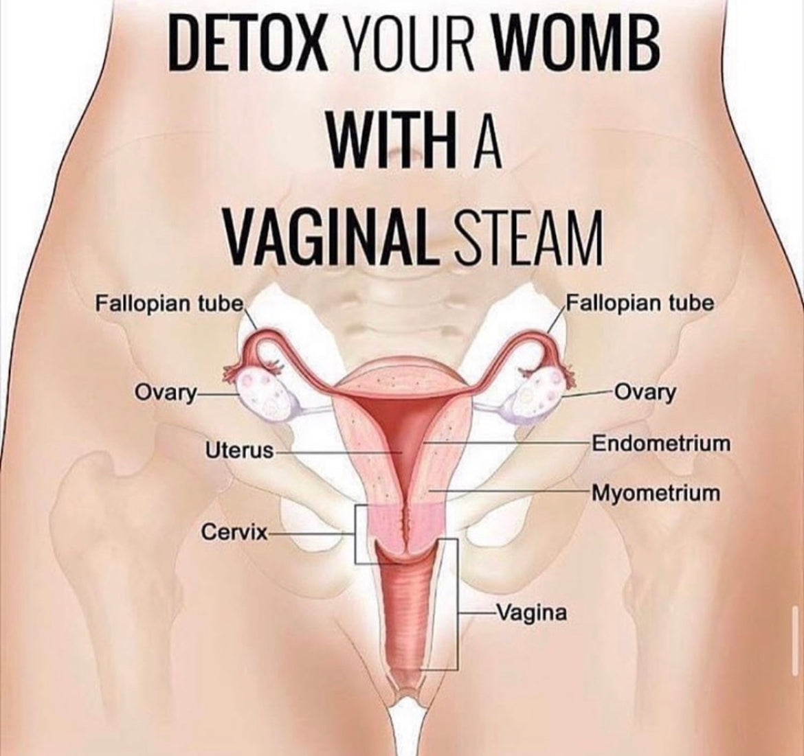 Angel V Portable Sitz Spa Steam Seat